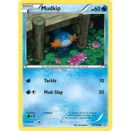 Mudkip (Reverse Holo)