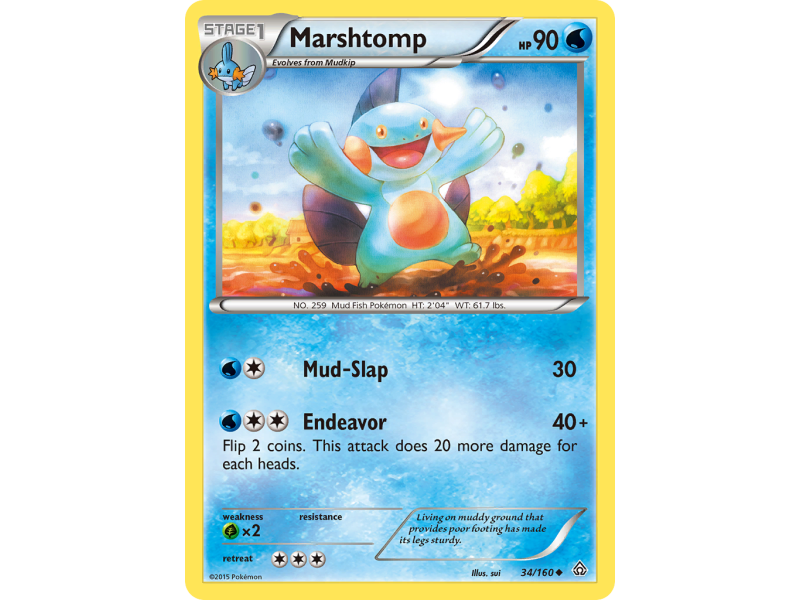Marshtomp (Reverse Holo)