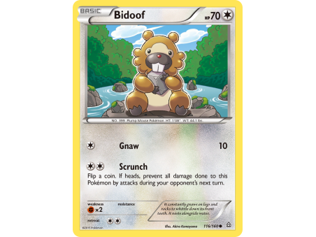 Bidoof