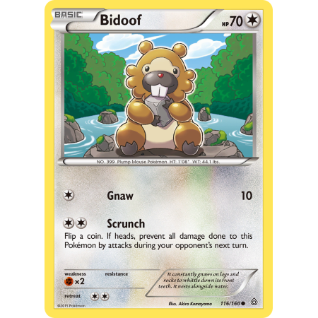 Bidoof (Reverse Holo)