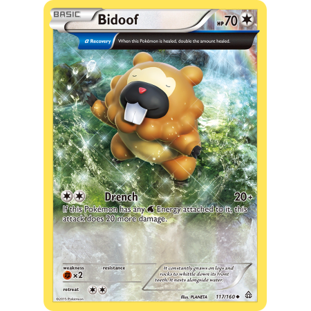 Bidoof