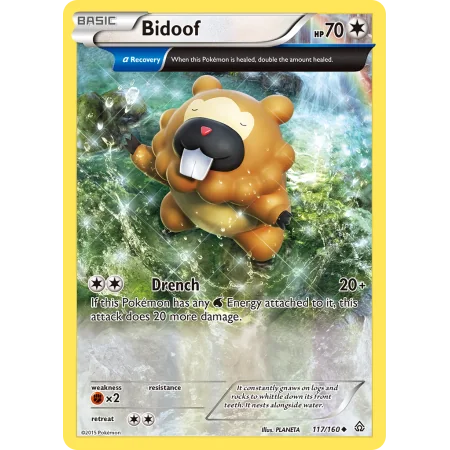 Bidoof