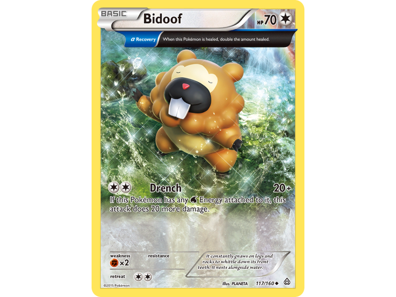 Bidoof (Reverse Holo)