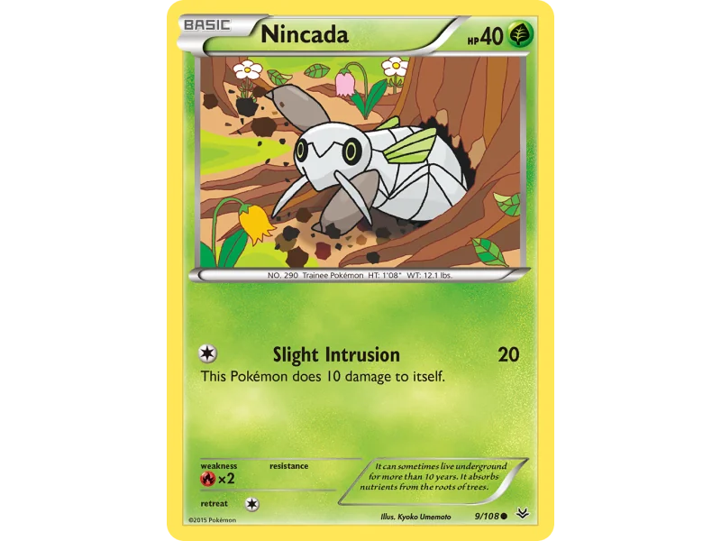 Nincada