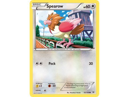 Spearow (Reverse Holo)