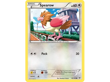 Spearow (Reverse Holo)