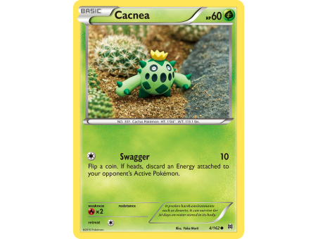 Cacnea
