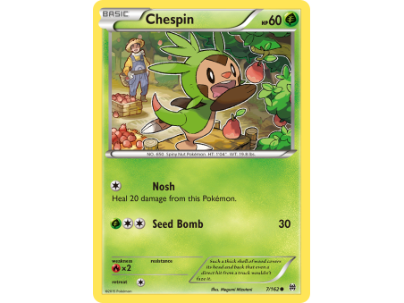 Chespin (Reverse Holo)