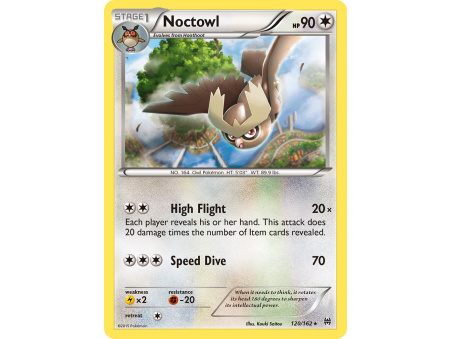 Noctowl