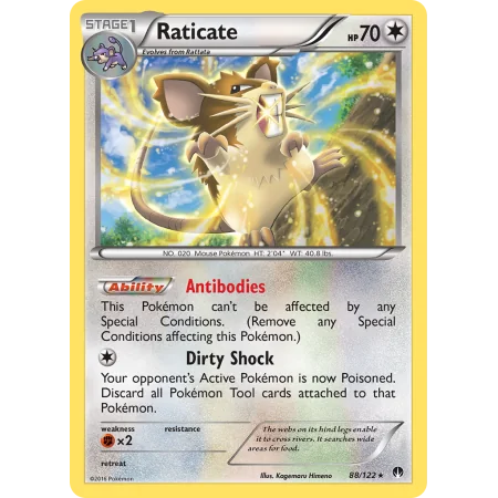 Raticate (Reverse Holo)