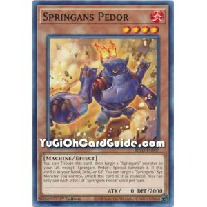Springans Pedor (Common)