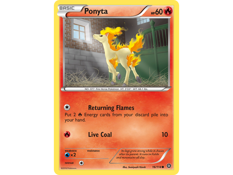 Ponyta