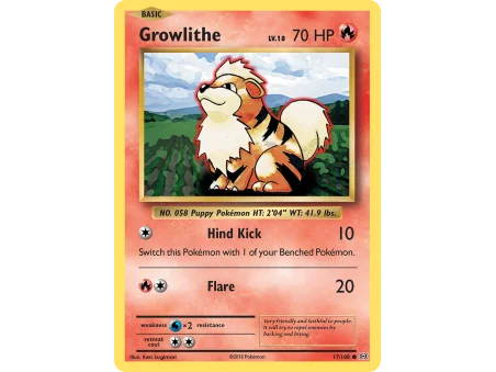 Growlithe (Reverse Holo)