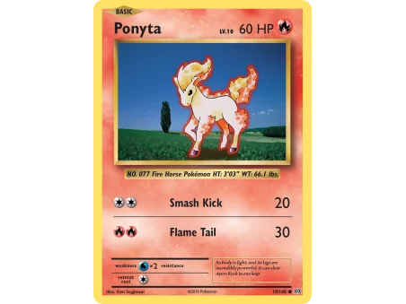Ponyta