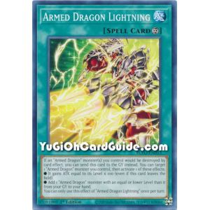 Armed Dragon Lightning