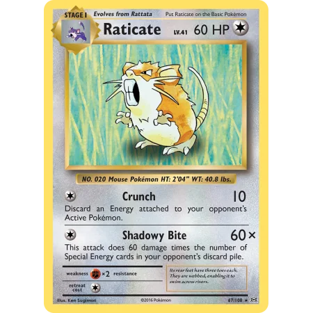Raticate