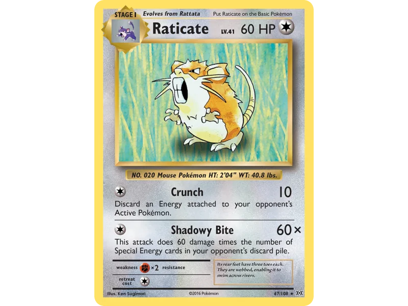Raticate