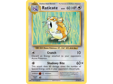 Raticate (Reverse Holo)
