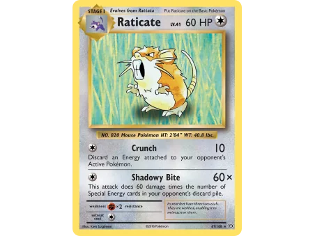 Raticate (Reverse Holo)