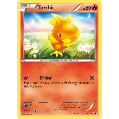 Torchic
