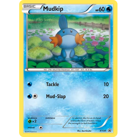 Mudkip