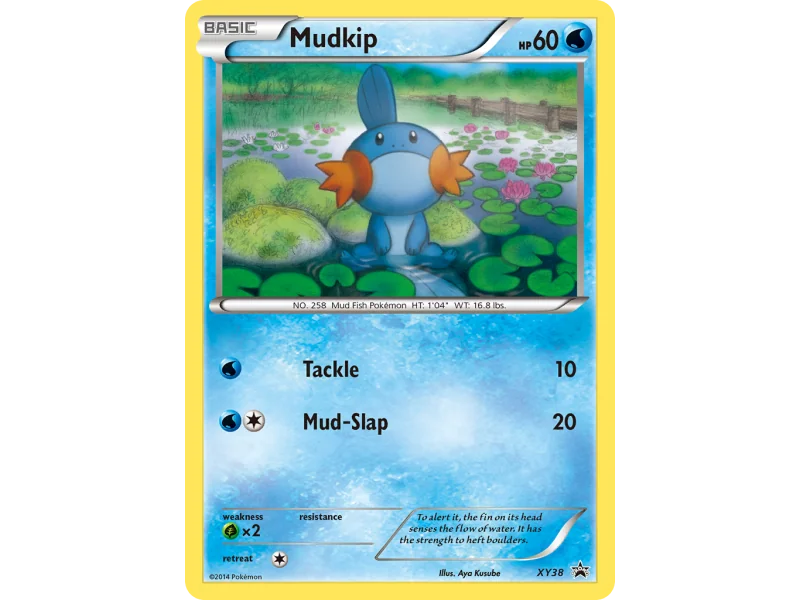Mudkip