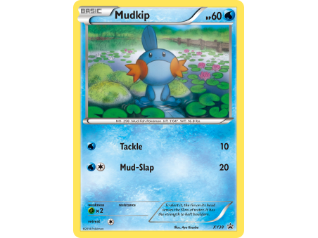 Mudkip