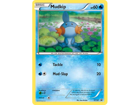 Mudkip