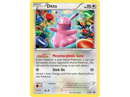 Ditto