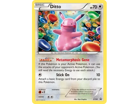 Ditto