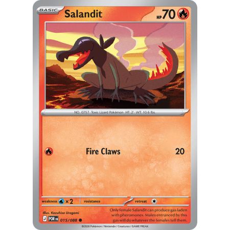 Salandit (Common)