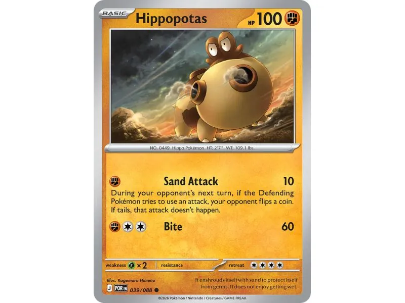 Hippopotas (Common)