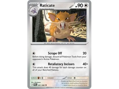 Raticate (Uncommon)