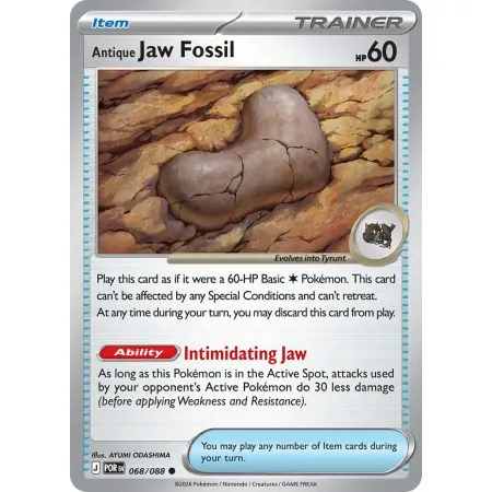 Antique Jaw Fossil (Reverse Holo)
