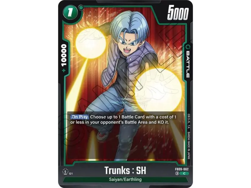 Trunks : SH (Common)