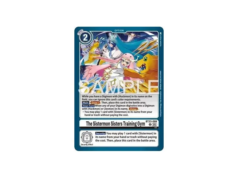 The Sistermon Sisters Training Gym