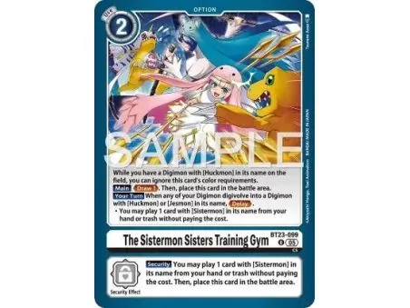 The Sistermon Sisters Training Gym