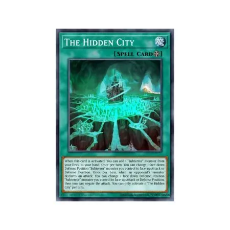 The Hidden City