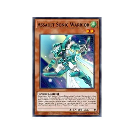 Assault Sonic Warrior