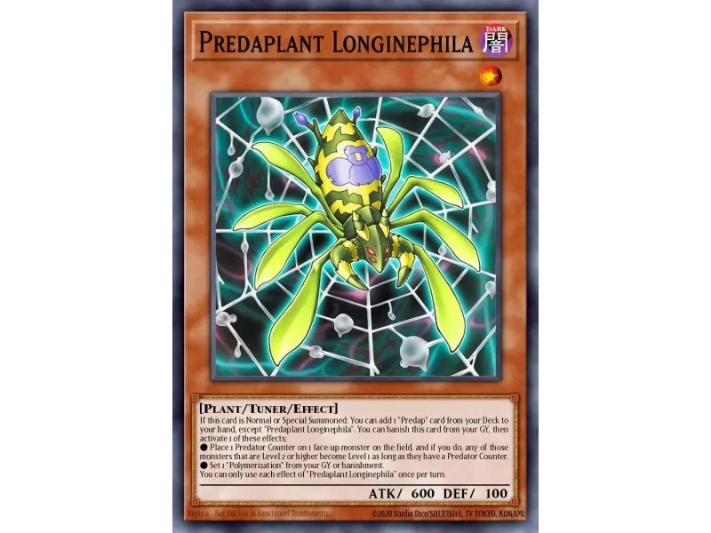 Predaplant Longinephila
