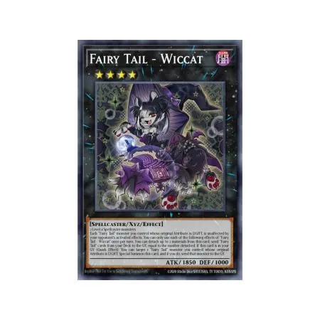 Fairy Tail - Wiccat