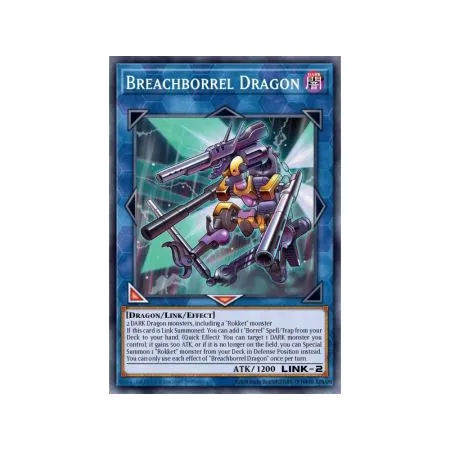 Breachborrel Dragon