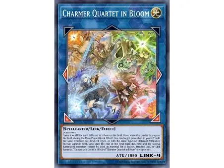 Charmer Quartet in Bloom