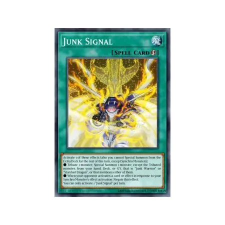Junk Signal