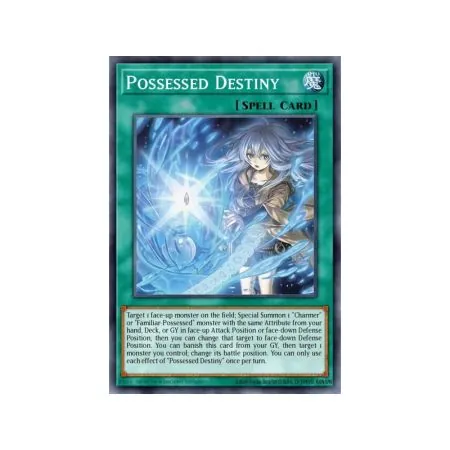 Possessed Destiny