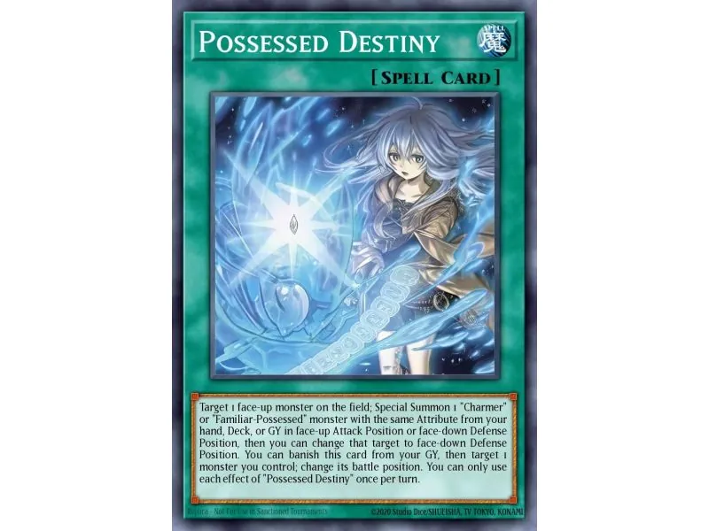 Possessed Destiny