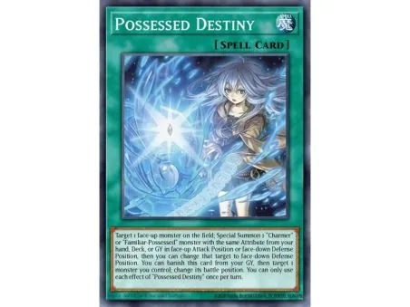 Possessed Destiny