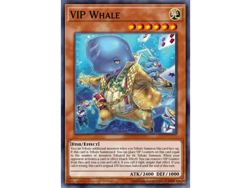 VIP Whale