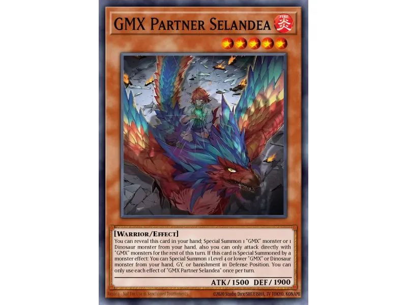 GMX Partner Selandea