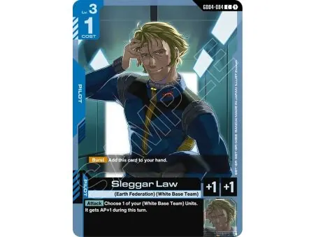 Sleggar Law